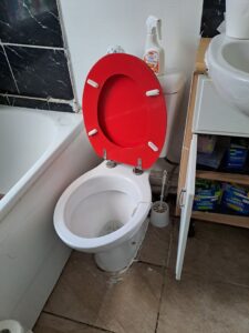 Toilet Seat